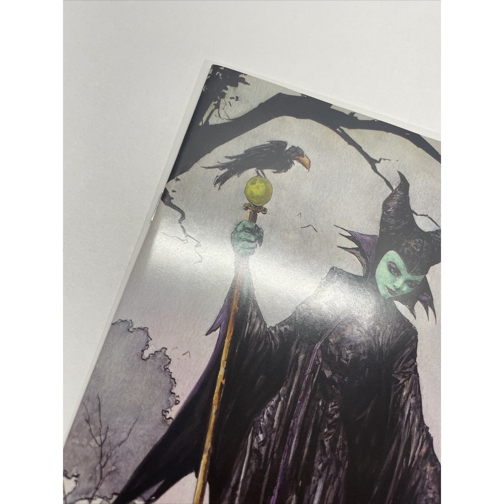 Disney Villains Maleficent #1 Signed By Johnny Desjardins With COA 1000 - Picture 6 of 12